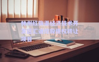 林州紅旗渠經濟技術開發區匯通控股債權轉讓項目